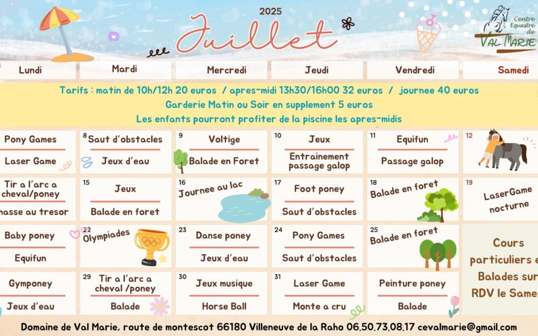 Stages été