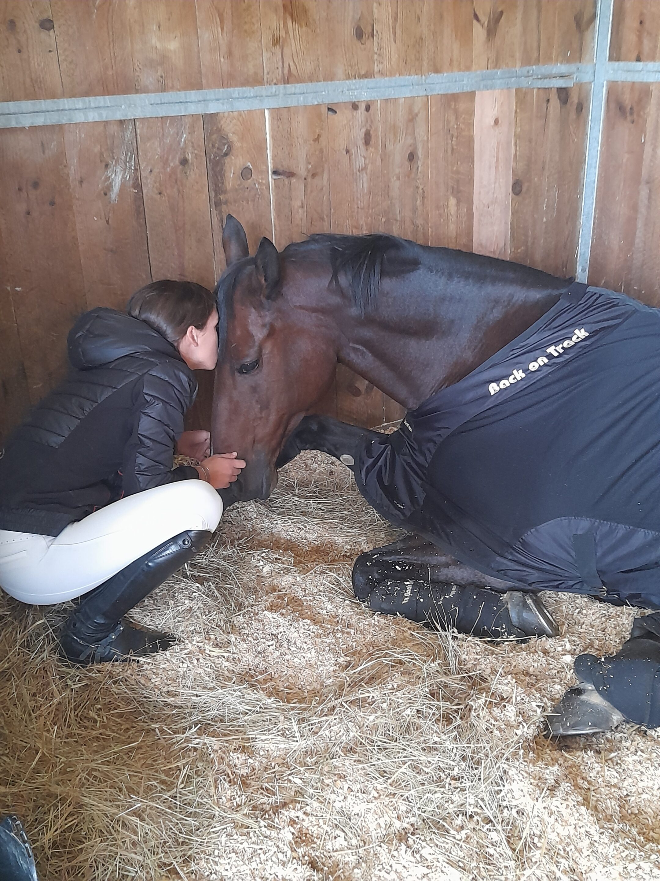 avoir son cheval à la maison formation val marie